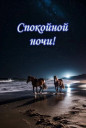 Скрин...