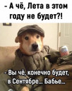 Скрин...
