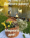 Скрин...