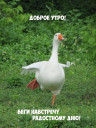 Скрин...
