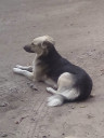 Скрин...