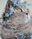 Скрин...