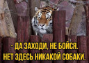 Скрин...