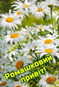 Скрин...