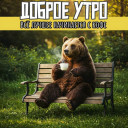 Скрин...