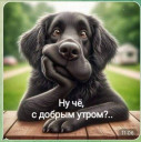 Скрин...