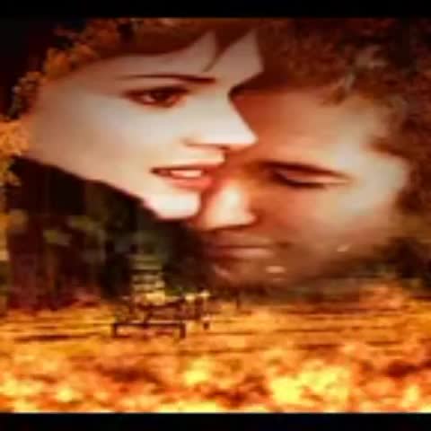 VID_41900319_160210_717