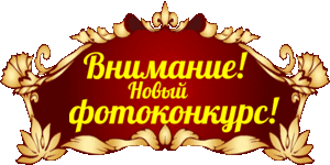 fotokon