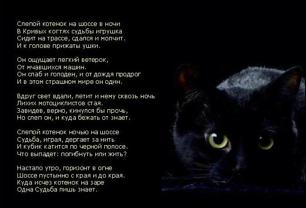 Стих про черного. Стих про черного кота. Стих про черного котика. Стих про кошку. Стих про черную кошку.