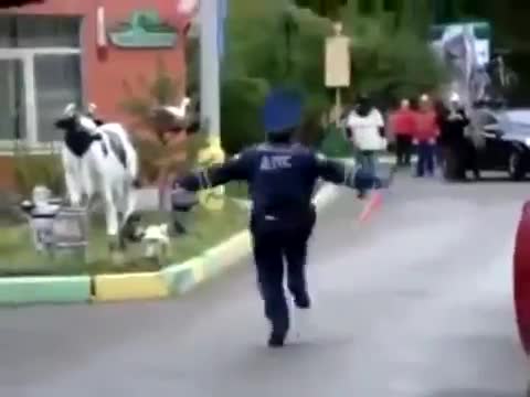 Vorovajki_Musorok_na_pensii-gzok_