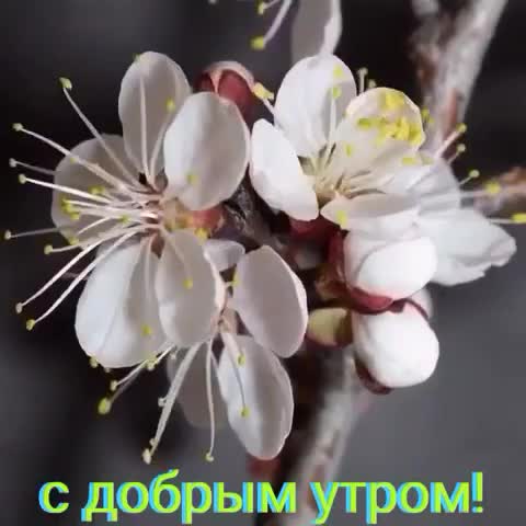 С добрым утром