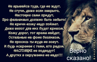 Правда