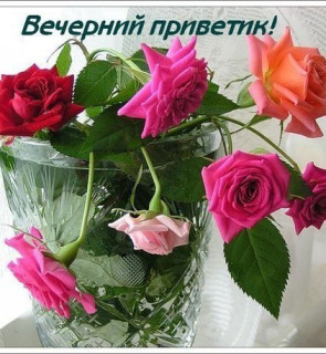 Вечерний_приветик_24