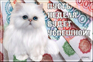 Успешной_недели_25