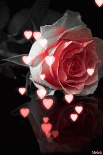 Роза Анимация