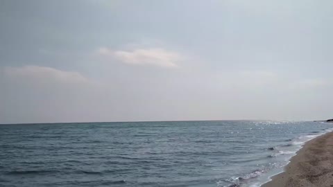 Бердянск_2019