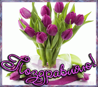 ZanyRepentantAmazonparrot-size_restricted