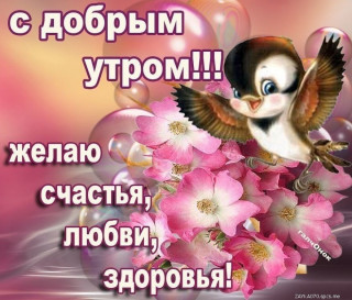 С_добрым_утром_28_03