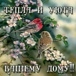 Тепла_и_уюта_вашему_дому