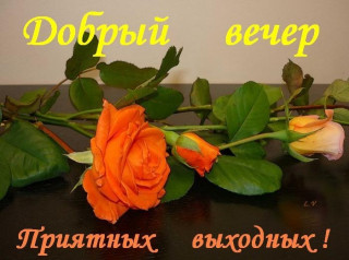 Добрый_вечер_29