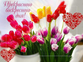 Прекрасного_дня_31