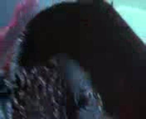 Boni_Nem_-_Rozovye_rozy_g_g