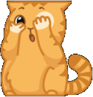 Кот5