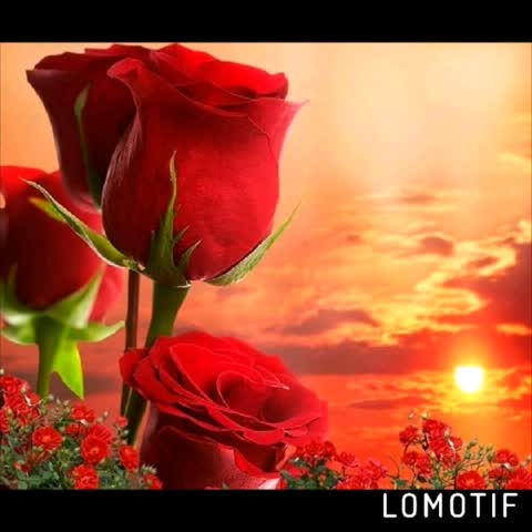 Вам__для_настроения