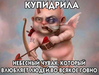 Купидрила