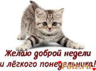 Желаю доброй недели и легкого понидельника