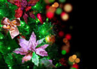images_12