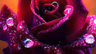 images_14