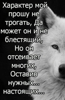 FB_IMG_1554840567738