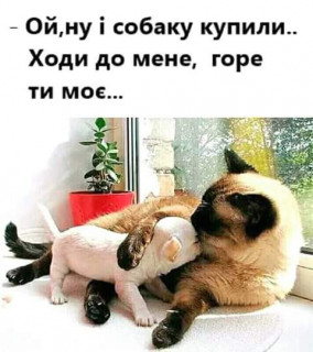 FB_IMG_1554841862578