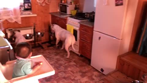 VID-20190414-WA0012