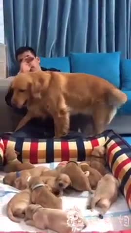 VID-20190414-WA0013