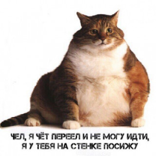 JA_u_tebja_na_stenke_posizhu