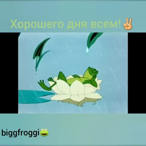 Хорошего дня