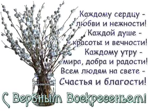 Поздравляю