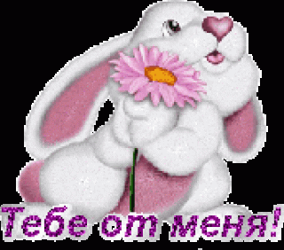 Тебе от меня зайчик