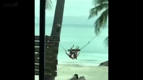 Приколы_апрель_2019_№392