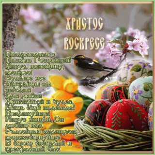 С Пасхой поздравляю