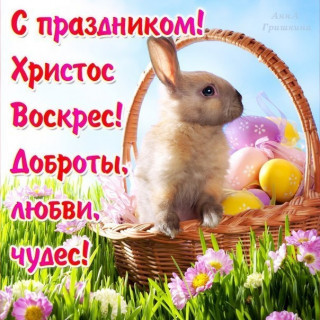 bXcZ0eMlknk
