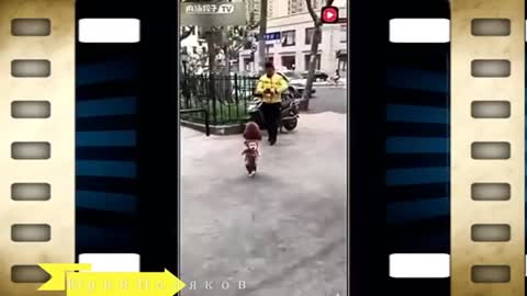 такая_лапочка