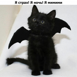 37bRRREmTZc