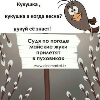 FB_IMG_1556913876025