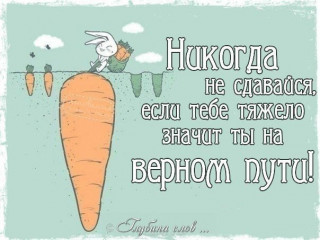 Никогда нездавайся