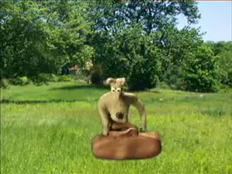 VID-20190505-WA0012