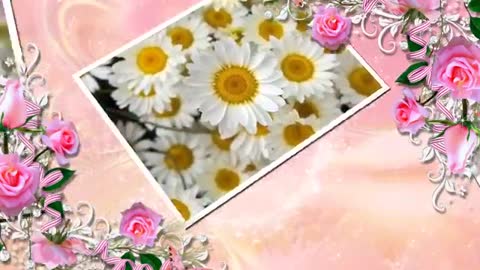 Sergey_Dubrovin_i_gr_Fristayl_-_Belye_romashki