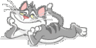 Кот